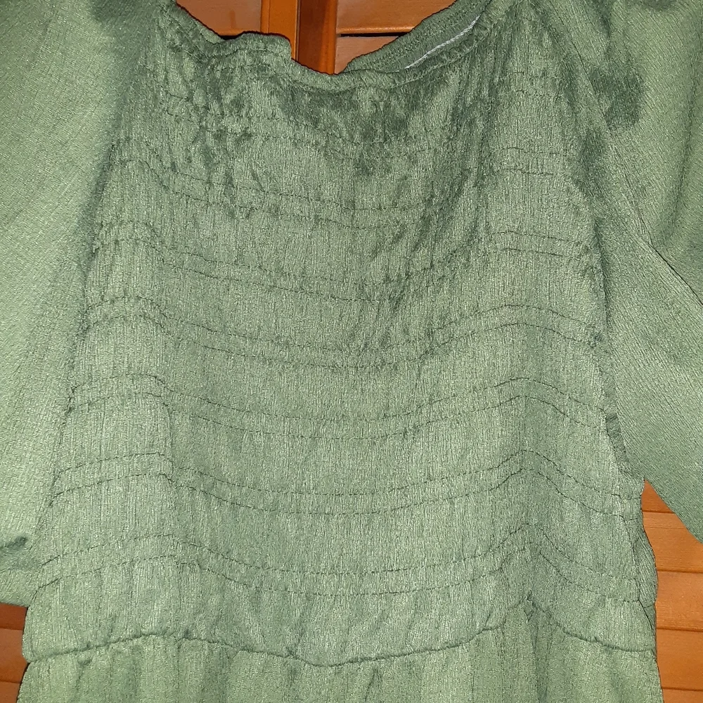 Lularoe Alina 3xl Sage Green Knee Length Dress Peasant style smocking - Picture 4 of 8